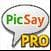 PicSay Pro - Photo Editor final
